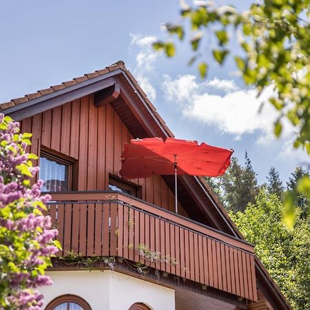 Ferienwohnung Haus Am Wald Messstetten 外观 照片